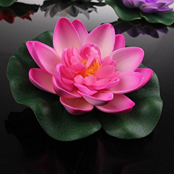 Lotus Flower